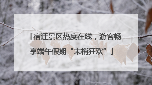 宿迁景区热度在线，游客畅享端午假期“末梢狂欢”