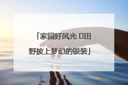 家园好风光 ⎮田野披上梦幻的银装