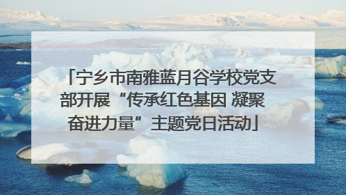宁乡市南雅蓝月谷学校党支部开展“传承红色基因 凝聚奋进力量”主题党日活动