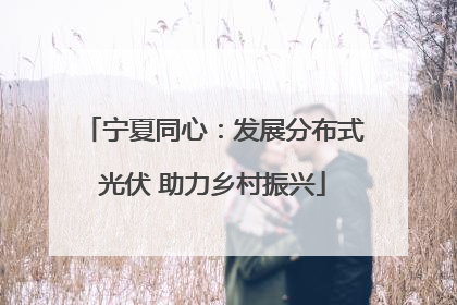 宁夏同心：发展分布式光伏 助力乡村振兴