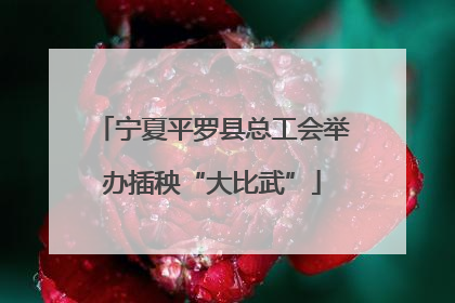 宁夏平罗县总工会举办插秧“大比武”