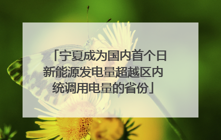 宁夏成为国内首个日新能源发电量超越区内统调用电量的省份