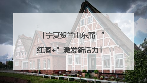 宁夏贺兰山东麓 “红酒+”激发新活力