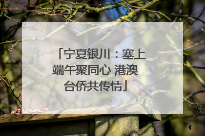 宁夏银川：塞上端午聚同心 港澳台侨共传情