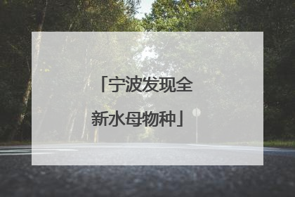 宁波发现全新水母物种