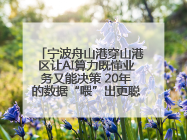 宁波舟山港穿山港区让AI算力既懂业务又能决策 20年的数据“喂”出更聪明的港口