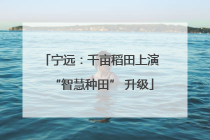 宁远：千亩稻田上演 “智慧种田” 升级