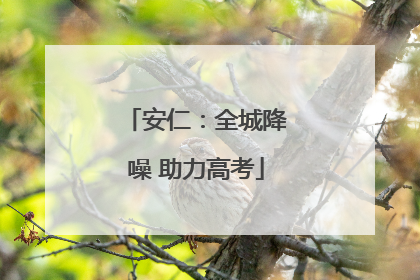 安仁：全城降噪 助力高考