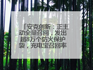 安克创新：正主动全量召回，发出超8万个防火保护袋，充电宝召回率已达10%
