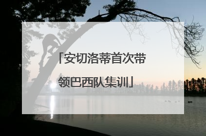 安切洛蒂首次带领巴西队集训