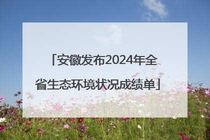 安徽发布2024年全省生态环境状况成绩单