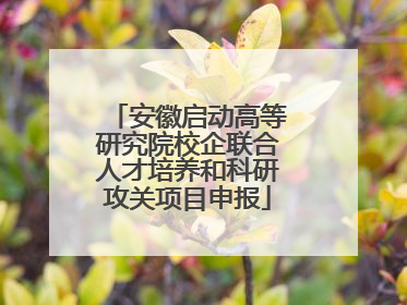 安徽启动高等研究院校企联合人才培养和科研攻关项目申报