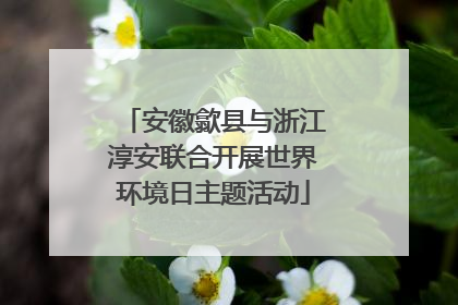安徽歙县与浙江淳安联合开展世界环境日主题活动