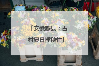 安徽黟县：古村夏日插秧忙