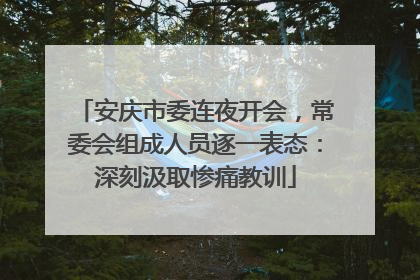 安庆市委连夜开会，常委会组成人员逐一表态：深刻汲取惨痛教训
