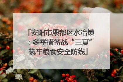 安阳市殷都区水冶镇：多举措备战“三夏” 筑牢粮食安全防线