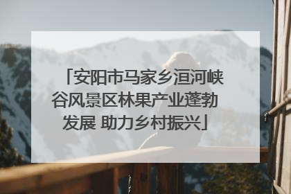 安阳市马家乡洹河峡谷风景区林果产业蓬勃发展 助力乡村振兴