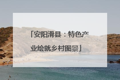 安阳滑县：特色产业绘就乡村图景