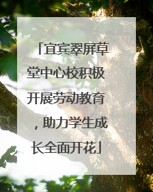宜宾翠屏草堂中心校积极开展劳动教育，助力学生成长全面开花