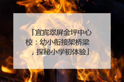 宜宾翠屏金坪中心校：幼小衔接架桥梁，探秘小学初体验