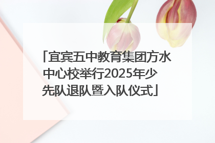 宜宾五中教育集团方水中心校举行2025年少先队退队暨入队仪式