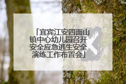 宜宾江安四面山镇中心幼儿园召开安全应急逃生安全演练工作布置会