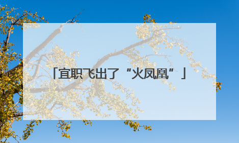 宜职飞出了“火凤凰”