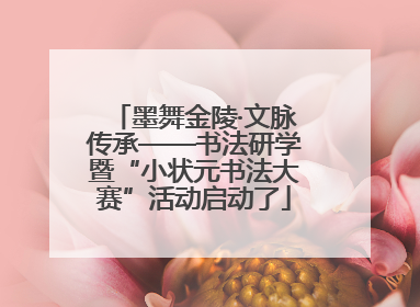 墨舞金陵·文脉传承——书法研学暨“小状元书法大赛”活动启动了