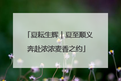 夏耘生辉｜夏至顺义奔赴浓浓麦香之约