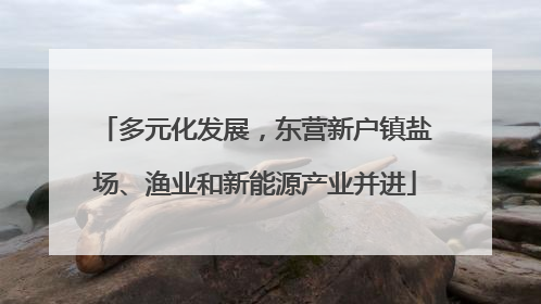多元化发展，东营新户镇盐场、渔业和新能源产业并进