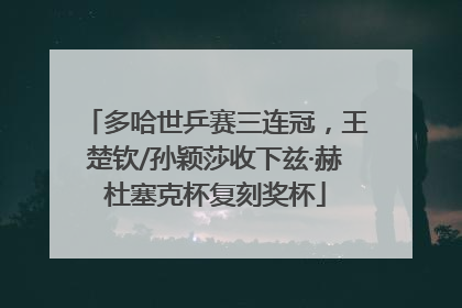 多哈世乒赛三连冠，王楚钦/孙颖莎收下兹·赫杜塞克杯复刻奖杯