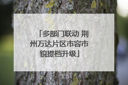多部门联动 荆州万达片区市容市貌提档升级