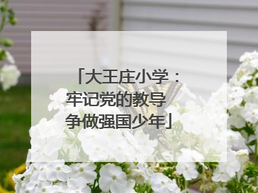 大王庄小学：牢记党的教导 争做强国少年
