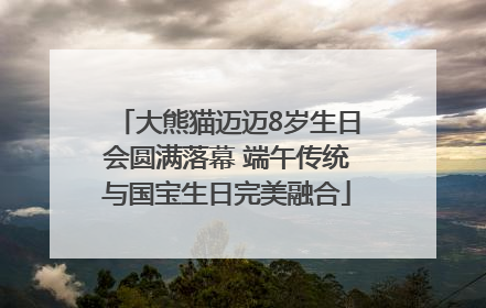 大熊猫迈迈8岁生日会圆满落幕 端午传统与国宝生日完美融合