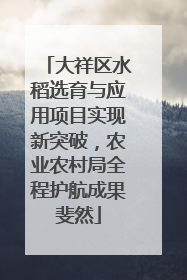 大祥区水稻选育与应用项目实现新突破，农业农村局全程护航成果斐然