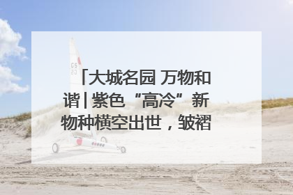 大城名园 万物和谐│紫色“高冷”新物种横空出世，皱褶叶片暗藏进化密码