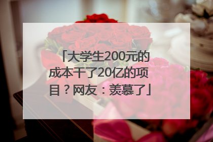 大学生200元的成本干了20亿的项目？网友：羡慕了