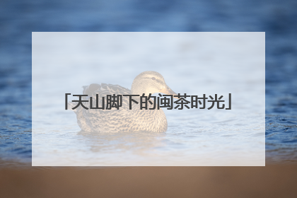 天山脚下的闽茶时光