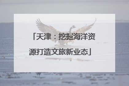 天津：挖掘海洋资源打造文旅新业态