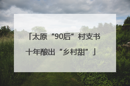 太原“90后”村支书十年酿出“乡村甜”