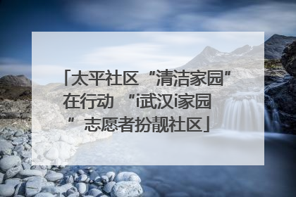 太平社区“清洁家园”在行动 “i武汉i家园”志愿者扮靓社区