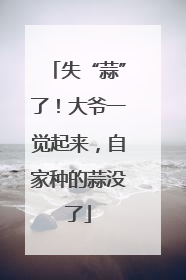 失“蒜”了！大爷一觉起来，自家种的蒜没了