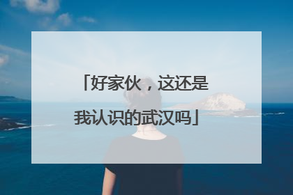 好家伙，这还是我认识的武汉吗