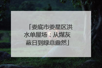 娄底市娄星区洪水单屋场：从煤灰蔽日到绿意盎然