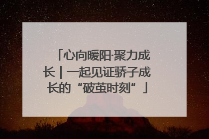 心向暖阳·聚力成长｜一起见证骄子成长的“破茧时刻”
