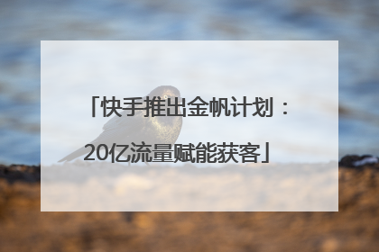 快手推出金帆计划：20亿流量赋能获客