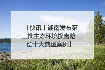 快讯丨湖南发布第三批生态环境损害赔偿十大典型案例