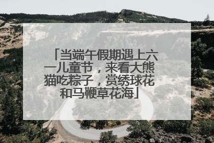 当端午假期遇上六一儿童节，来看大熊猫吃粽子，赏绣球花和马鞭草花海