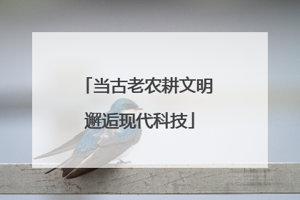 当古老农耕文明邂逅现代科技