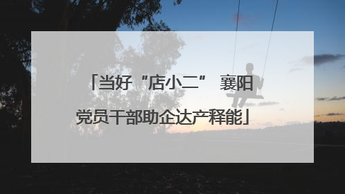 当好“店小二” 襄阳党员干部助企达产释能